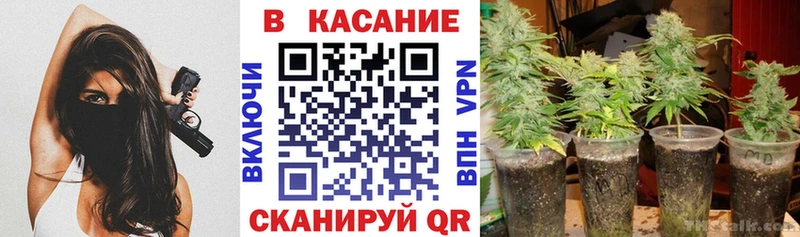 Наркошоп купить Альфа ПВП  COCAIN  ГАШ  Меф  Галлюциногенные грибы  Марихуана  Тырныауз
